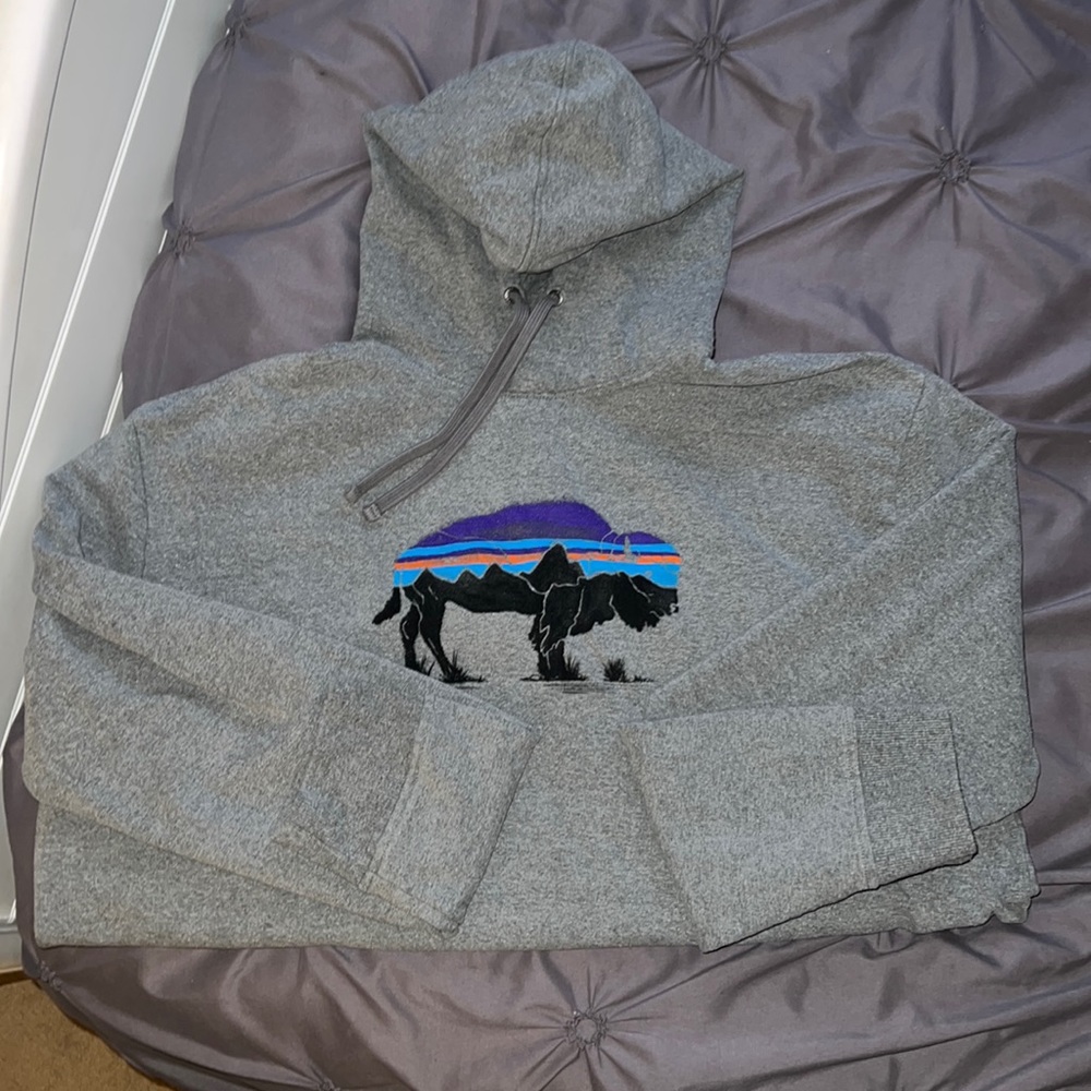 Patagonia Hoody